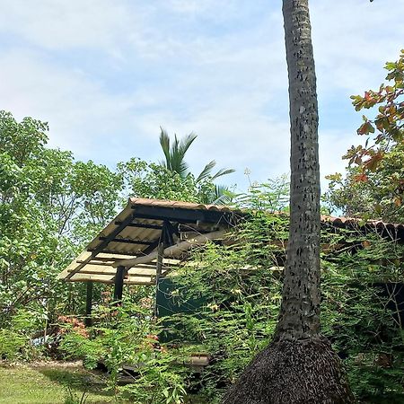 Las Lajas Beach Resort Luaran gambar