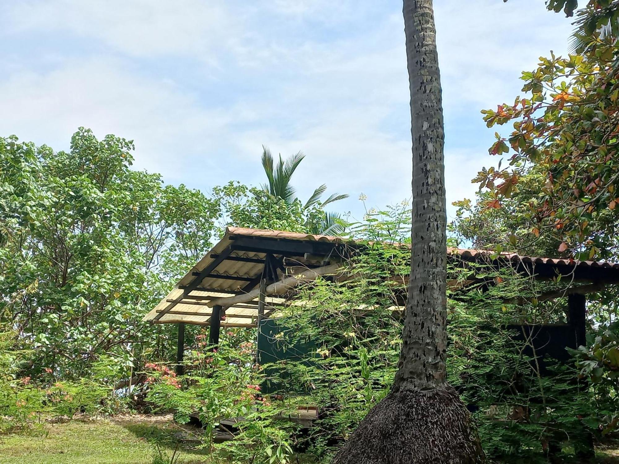 Las Lajas Beach Resort Luaran gambar