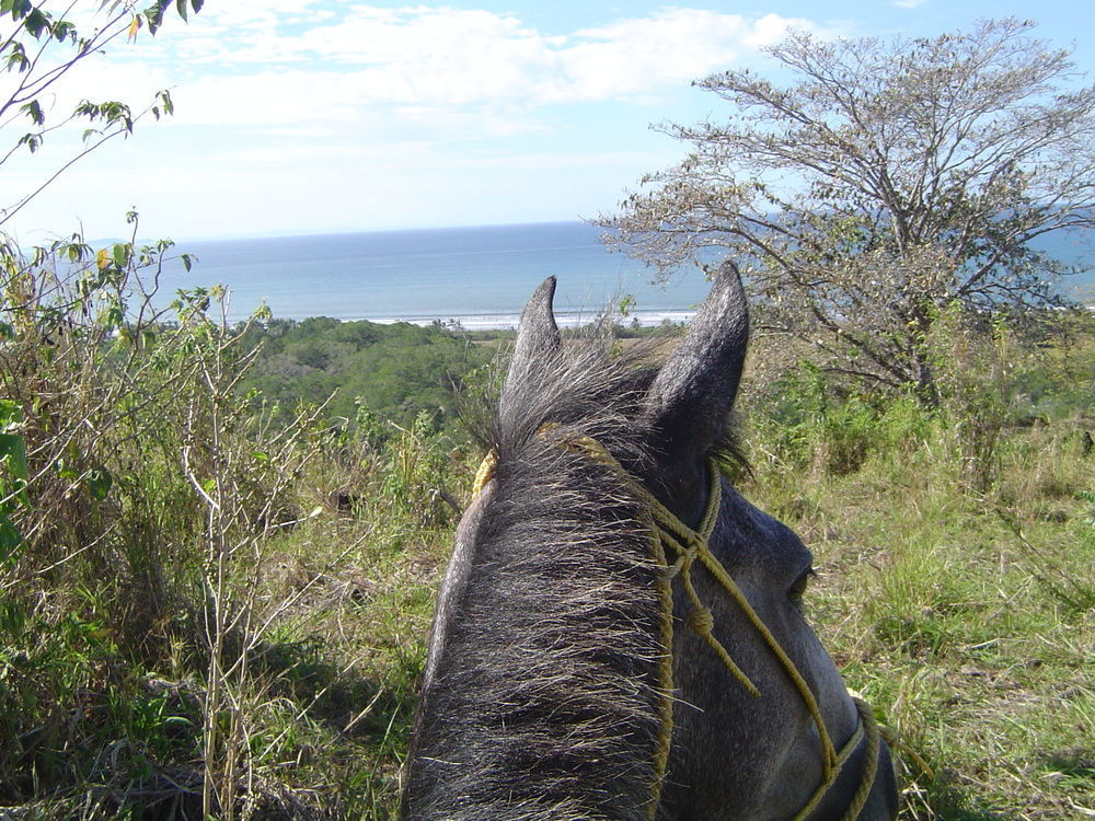 Las Lajas Beach Resort Luaran gambar